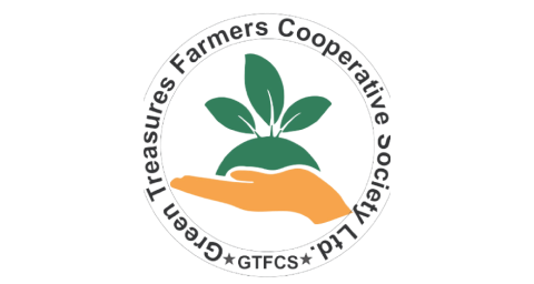 GTFCS Logo